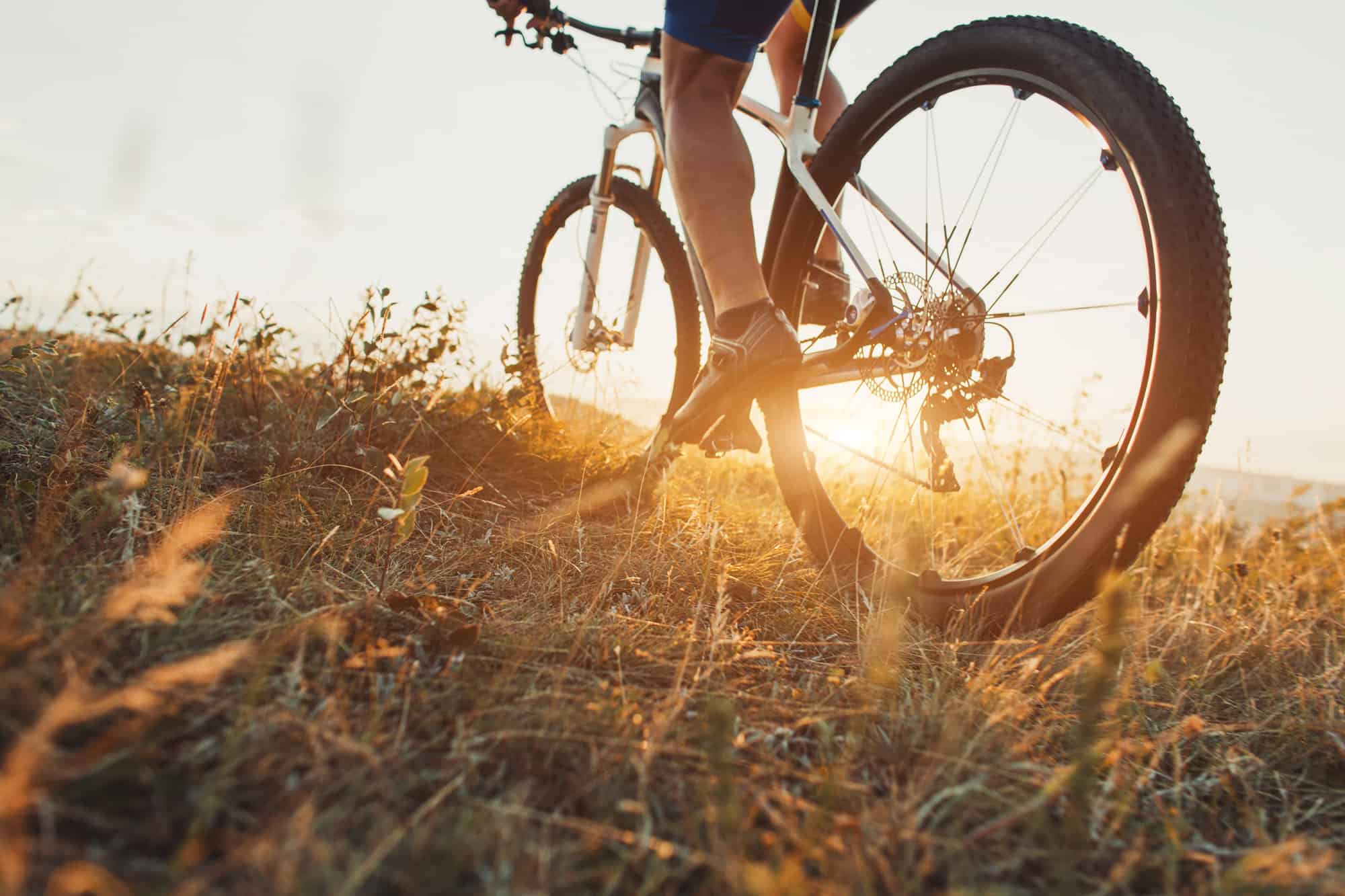 low angle view of cyclist riding with mountain bike on trail at